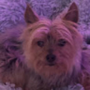 Meet your Posher, Carole